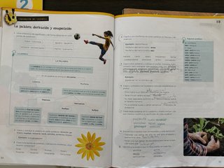 Libros 6 Primaria GSD El Escorial