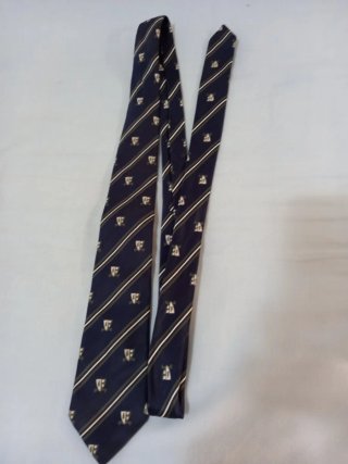 Corbata Colegio San Jaime Azul