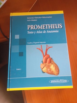Texto y atlas de anatomia