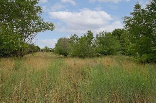 Terreno en venta en Casar (El)