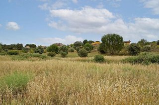 Terreno en venta en Casar (El)