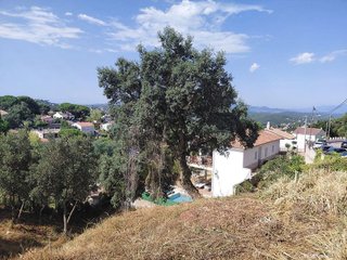 Solar en venta en Aiguaviva Parc en Vidreres