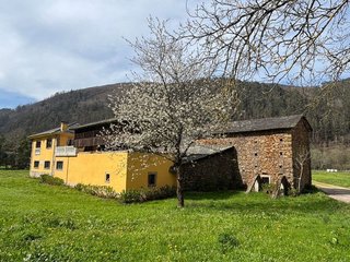 Chalet en venta en Tineo
