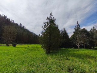 Chalet en venta en Tineo
