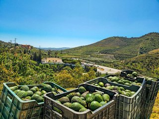 Chalet en venta en Viñuela