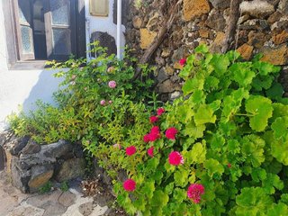 Chalet en venta en Pinar de El Hierro, El