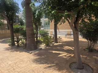 Estudio en alquiler en Playa de San Juan en Alicante