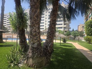 Estudio en alquiler en Playa de San Juan en Alicante