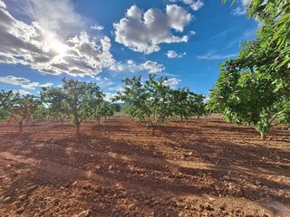 Terreno en venta en Pinós