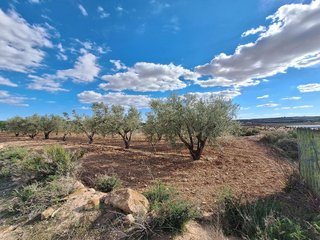 Terreno en venta en Pinós