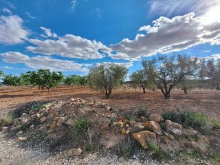 Terreno en venta en Pinós