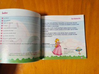 Super Princess Peach, Nintendo DS