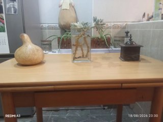 Mesa de cocina extensible madera y cristal
