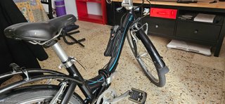 Bicicleta Plegable Tern D8