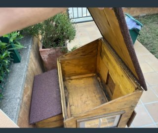 Gallinero madera artesanal con ventana