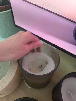 Juego de vasos para velas