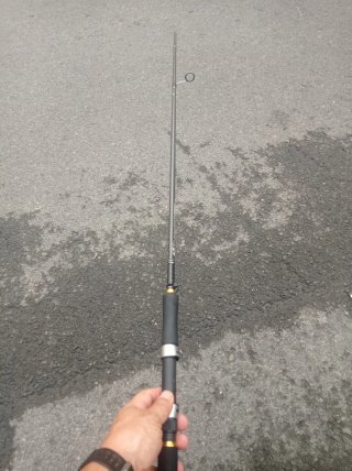 Caña de Pescar Daiwa Legalis Seabass 2.7m