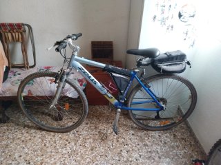 Bicicleta Zeus Montaña