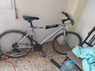 Bicicleta Zeus Montaña