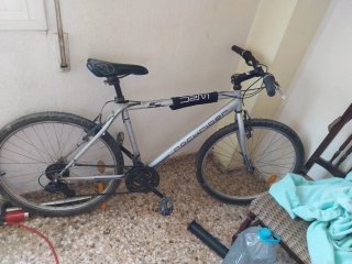 Bicicleta Zeus Montaña