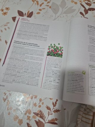 Libro lengua castellana