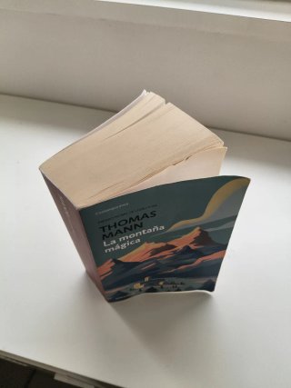 Libro La montaña mágica