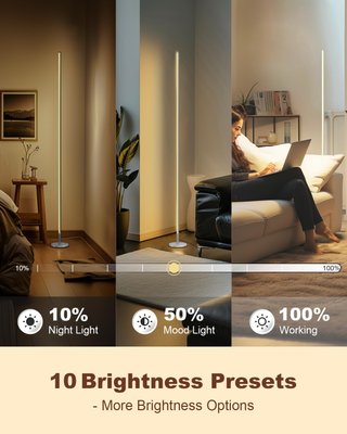 Lámpara de pie LED 12W regulable
