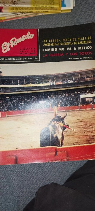 Revista Ruedo