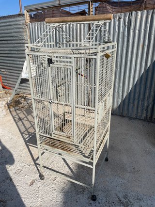 Jaula grande para loro