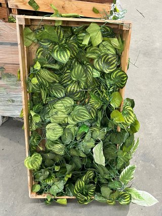 Cajas de Madera Decorativas con Plantas