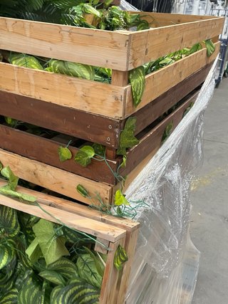 Cajas de Madera Decorativas con Plantas