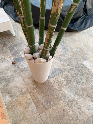 Maceta Decorativa Bambú y Piedras