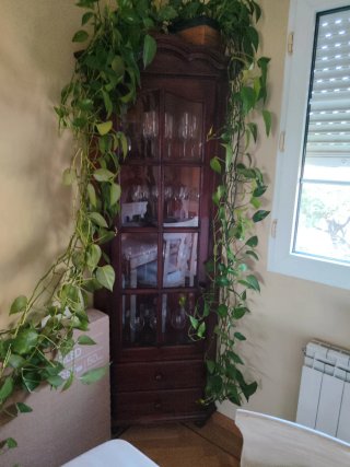 Vitrina de madera con cristalería fina