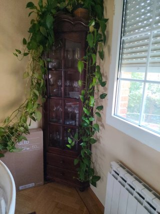 Vitrina de madera con cristalería fina