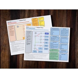 Wargame Empire of the Sun 5th printing.