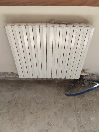 Radiadores de hierro fundido Blanco