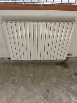Radiadores de hierro fundido Blanco