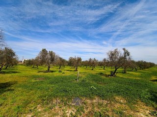 Casa en venta en Trebujena