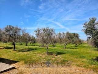 Casa en venta en Trebujena