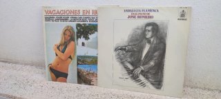 Lote 17 Vinilos