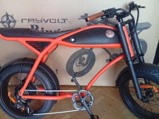Bicicleta Eléctrica Rayvolt Ringo Naranja