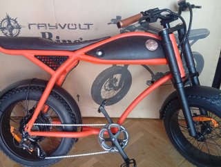 Bicicleta Eléctrica Rayvolt Ringo Naranja