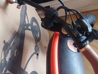 Bicicleta Eléctrica Rayvolt Ringo Naranja