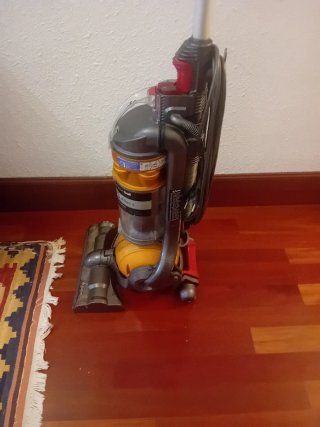 Aspirador Dyson Ball