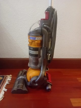 Aspirador Dyson Ball