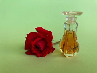 Miniatura GIORGIO, de Giorgio Beverly Hills