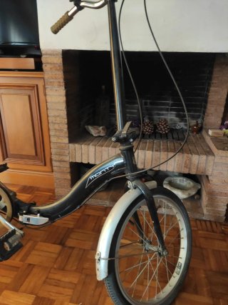 Bicicleta plegable
