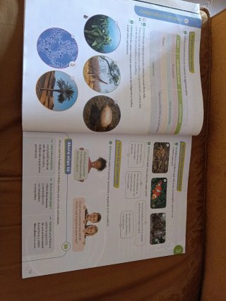 Libro Ciencias Naturales 4 Primarua. Santillana