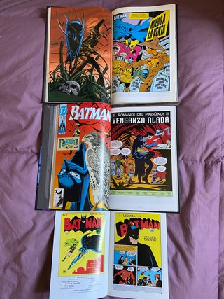 Batman arkham comic libro