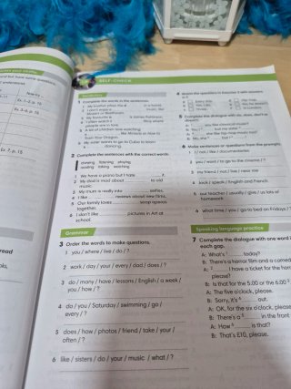Wider world Workbook 2